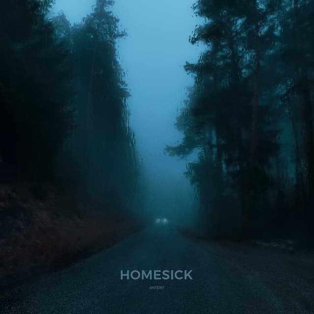 Album cover art for Homesick