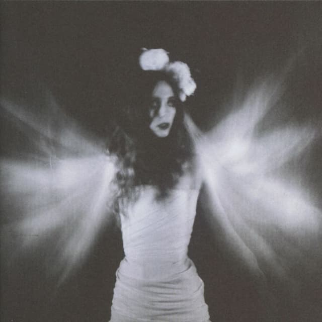 Album cover art for Taxidermy