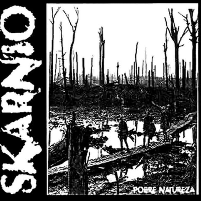 Album cover art for Pobre natureza