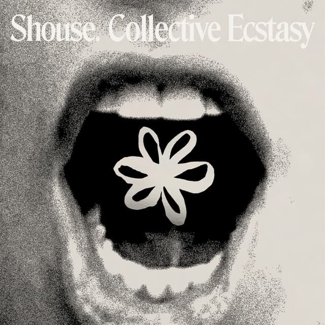 Album cover art for Collective Ecstasy