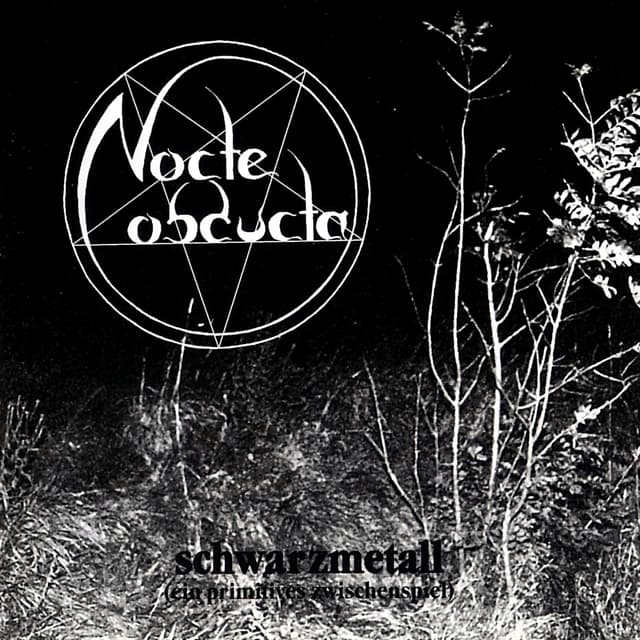 Album cover art for Schwarzmetall (Ein Primitives Zwischenspiel)