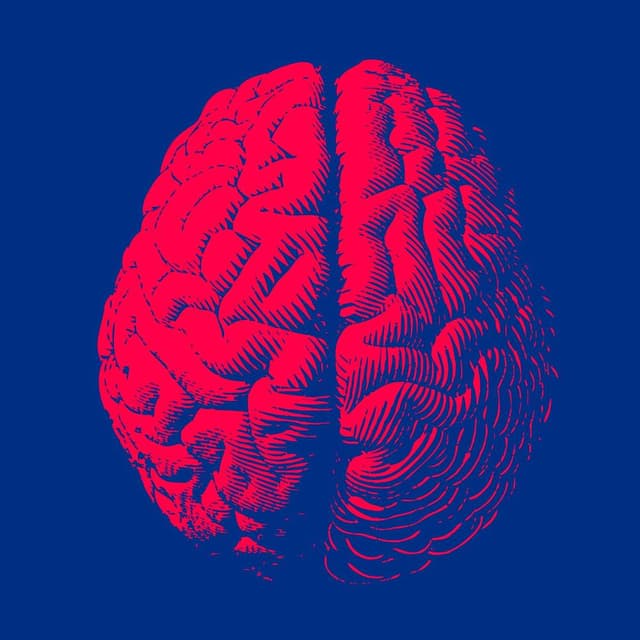 Album cover art for Liberty Cap