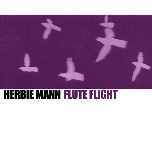Album cover art for Flute Flight