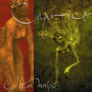 Album cover art for Elvenmusic