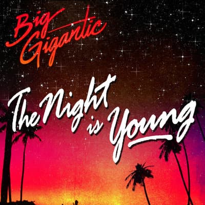 Album cover art for The Night Is Young