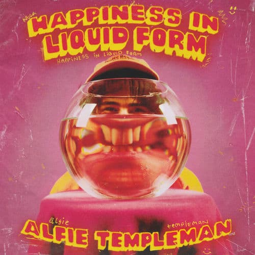 Album cover art for Happiness in Liquid Form