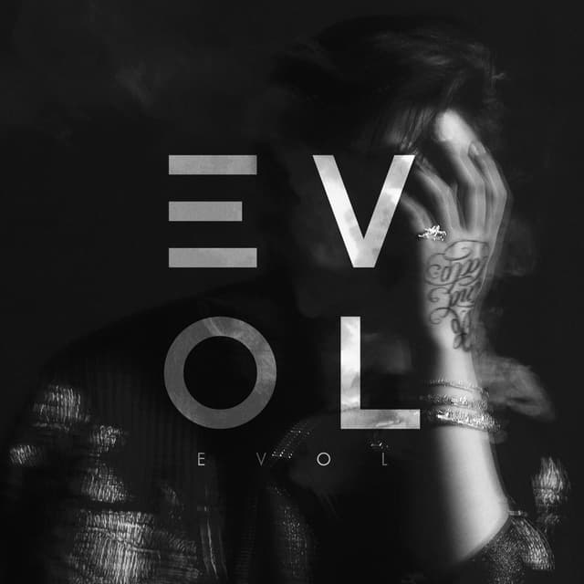 Album cover art for EVOL