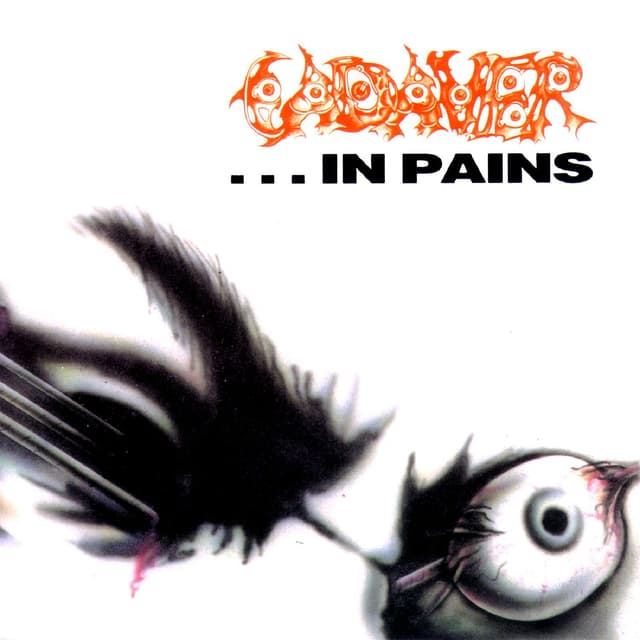 Album cover art for In Pains
