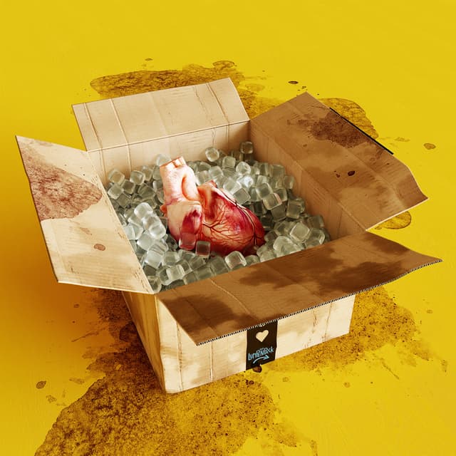 Album cover art for Emotions