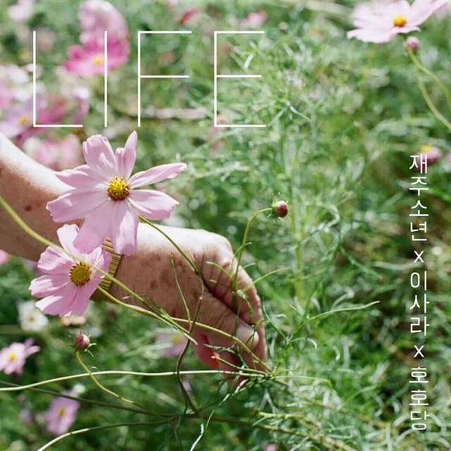 Album cover art for LIFE