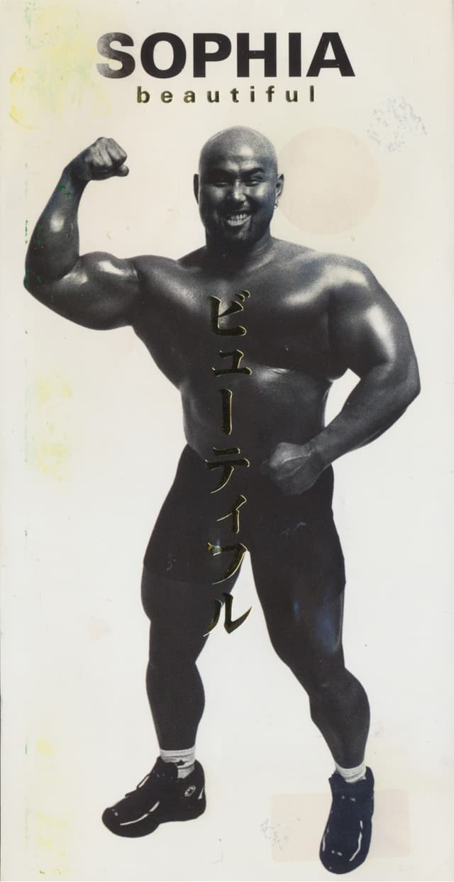 Album cover art for ビューティフル