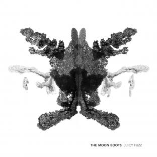 Album cover art for Juicyfuzz