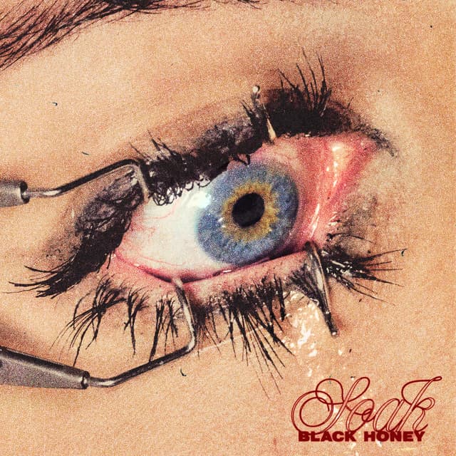 Album cover art for Soak