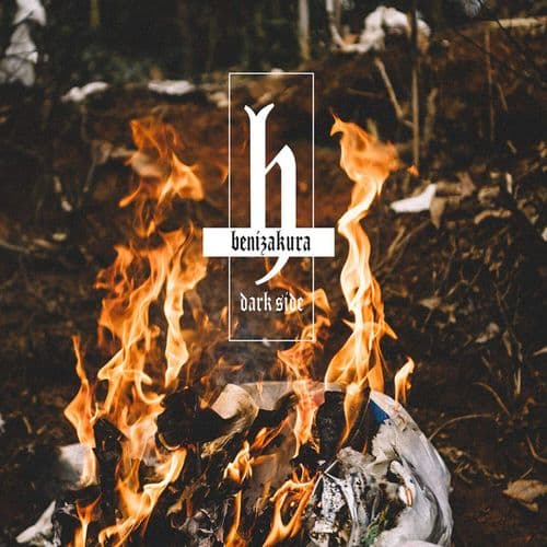 Album cover art for Dark Side