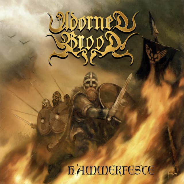 Album cover art for Hammerfeste