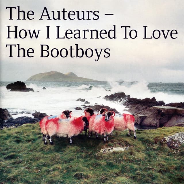 Album cover art for How I Learned To Love The Bootboys