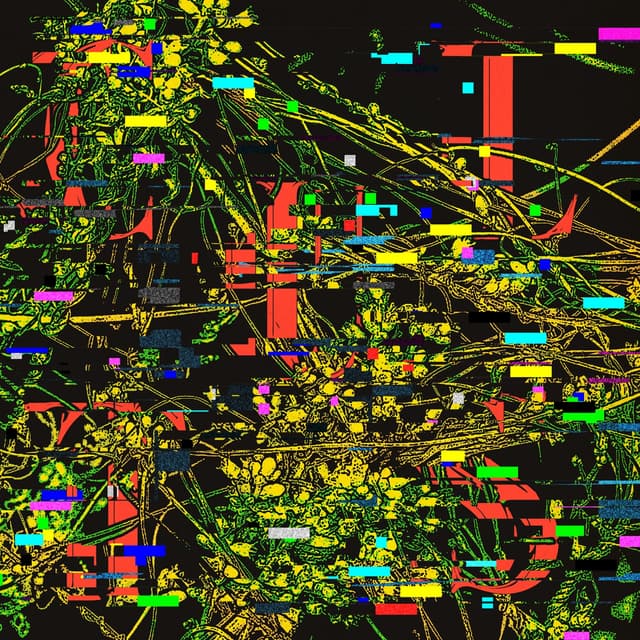 Album cover art for Host B-Sides & Remixes