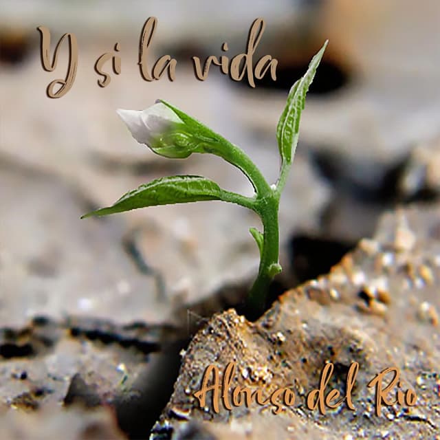 Album cover art for Y si la vida