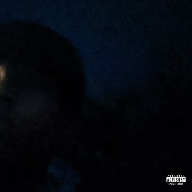 Album cover art for vague