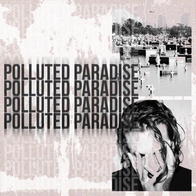 Album cover art for Polluted Paradise 2
