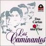 Dos Cartas Y Una Flor