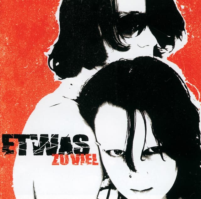 Album cover art for Zu Viel