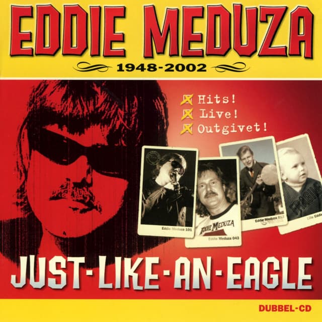 Album cover art for Just like An Eagle