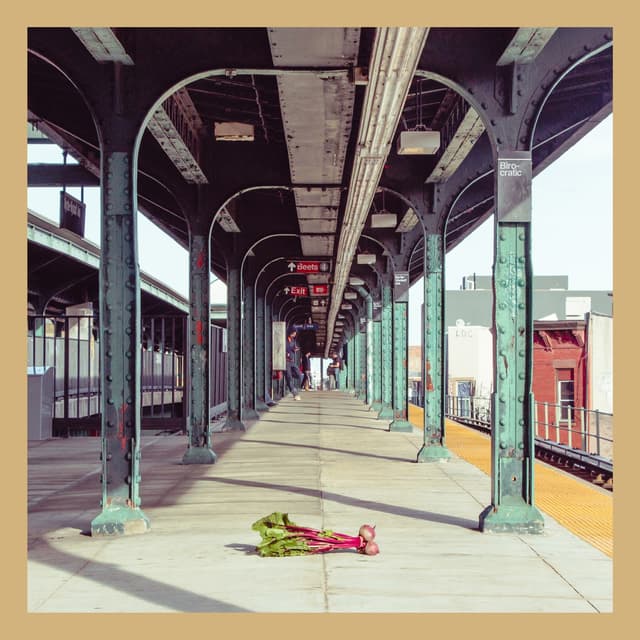 Album cover art for Beets 4