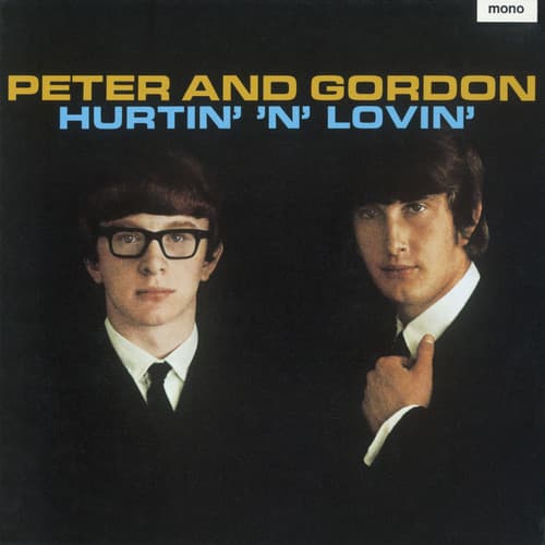 Album cover art for Hurtin' 'n' Lovin' Plus