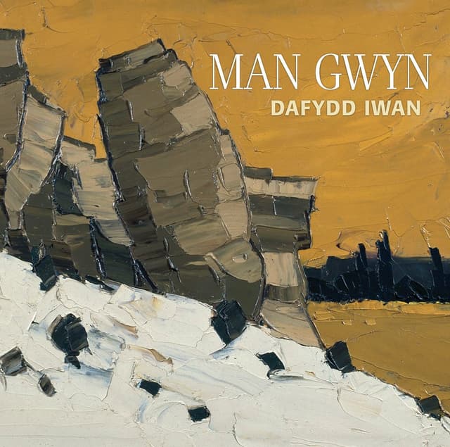 Album cover art for Man Gwyn