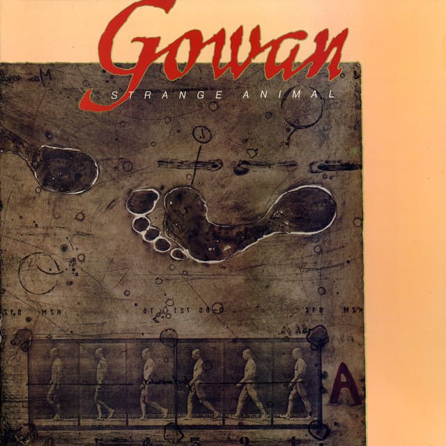 Album cover art for Strange Animal