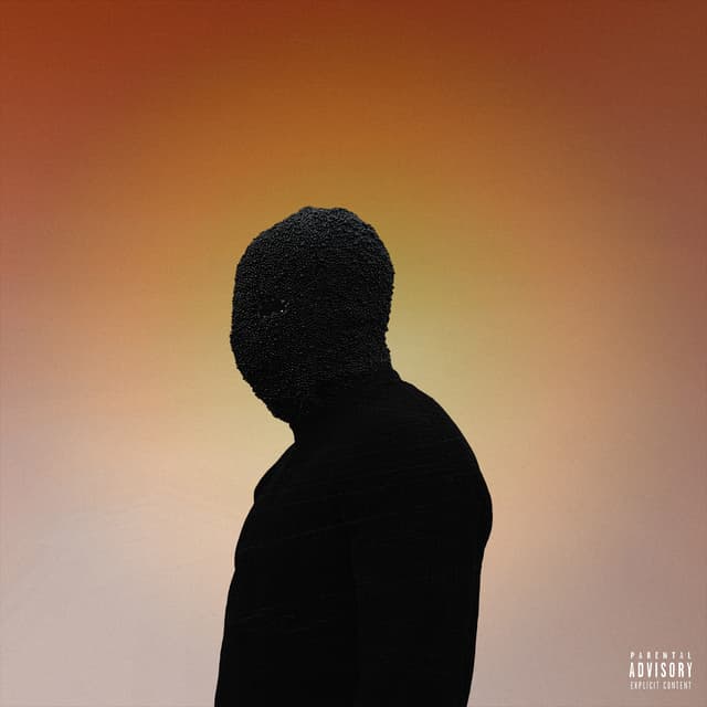 Album cover art for VERSUS