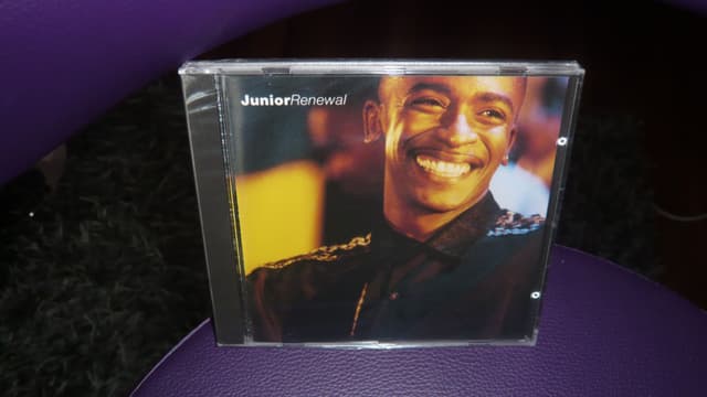 Album cover art for Renewal