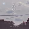 最后的人 (Zui Hou De Ren)
