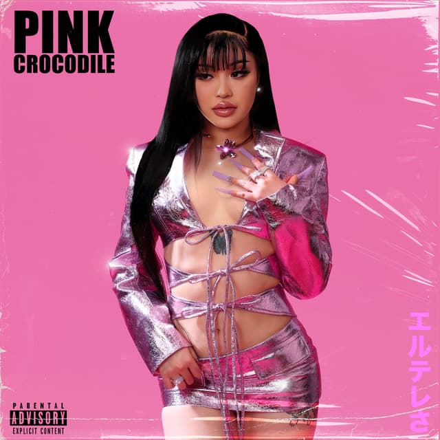 Album cover art for Pink Crocodile