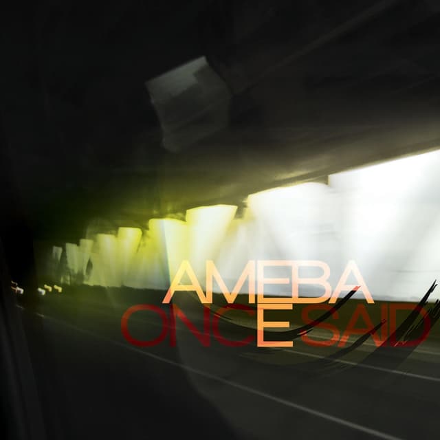 Album cover art for Once Said