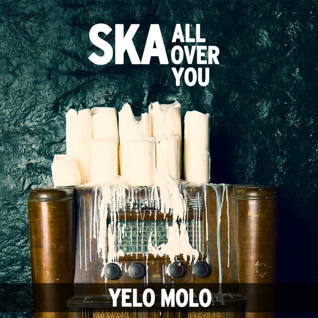 Album cover art for Ska All Over You