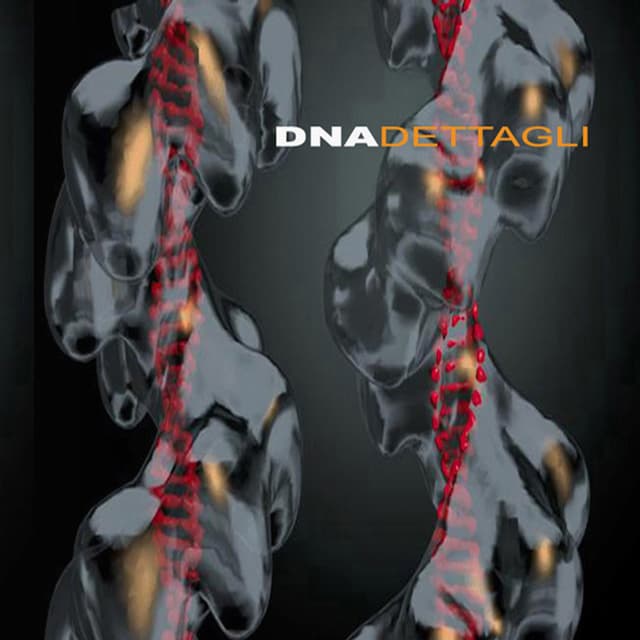 Album cover art for Dettagli