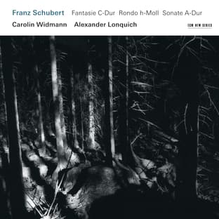 Album cover art for Franz Schubert: Fantasie C-Dur / Rondo H-Moll / Sonate A-Dur