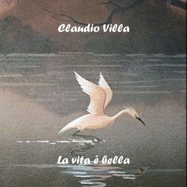 Album cover art for La Vita è Bella