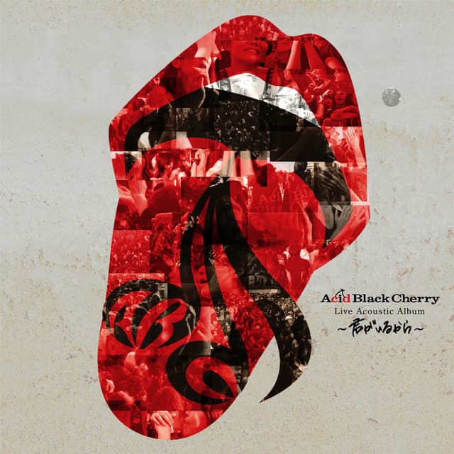Album cover art for Acid Black Cherry Live Acoustic Album ~君がいるから~