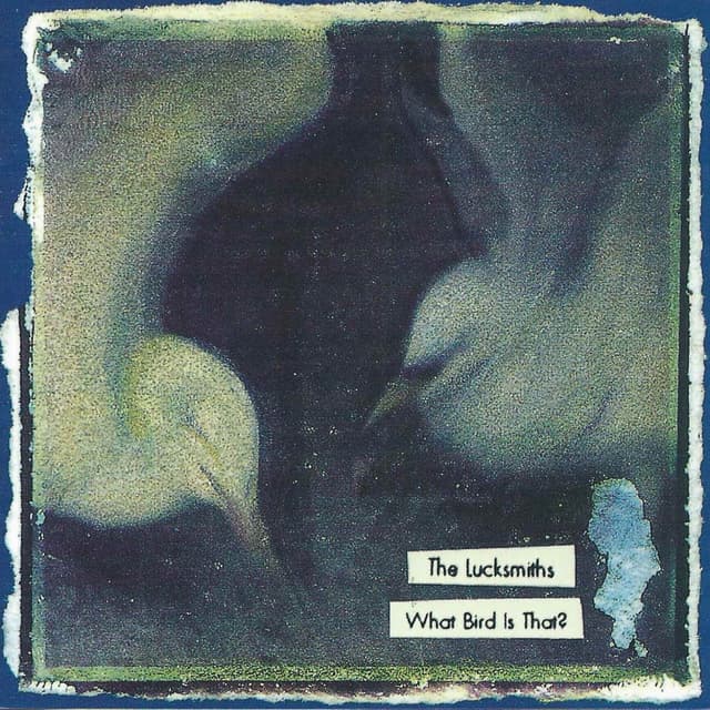 Album cover art for What Bird Is That?