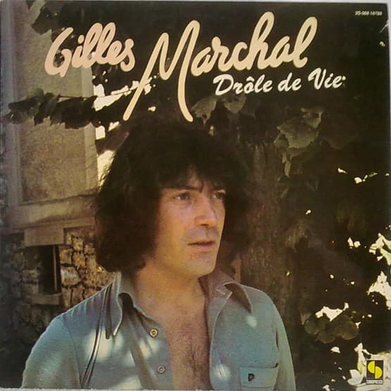 Album cover art for Drôle De Vie