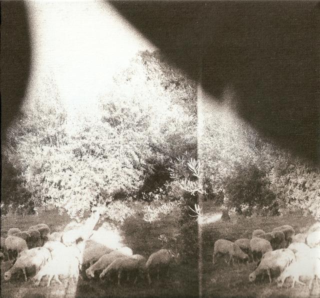 Album cover art for Asunder, Sweet and Other Distress