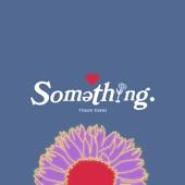 Album cover art for Something