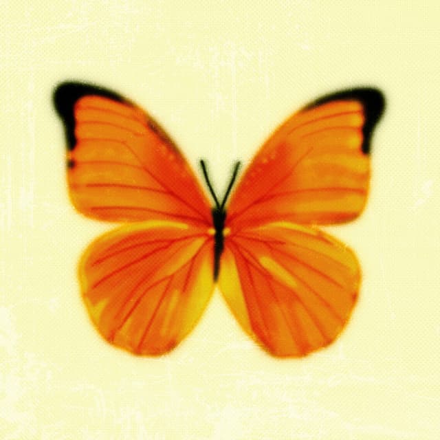 Album cover art for Orange