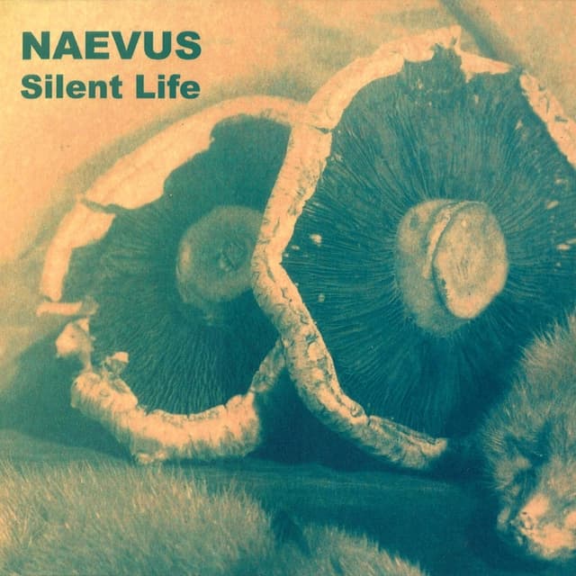 Album cover art for Silent Life