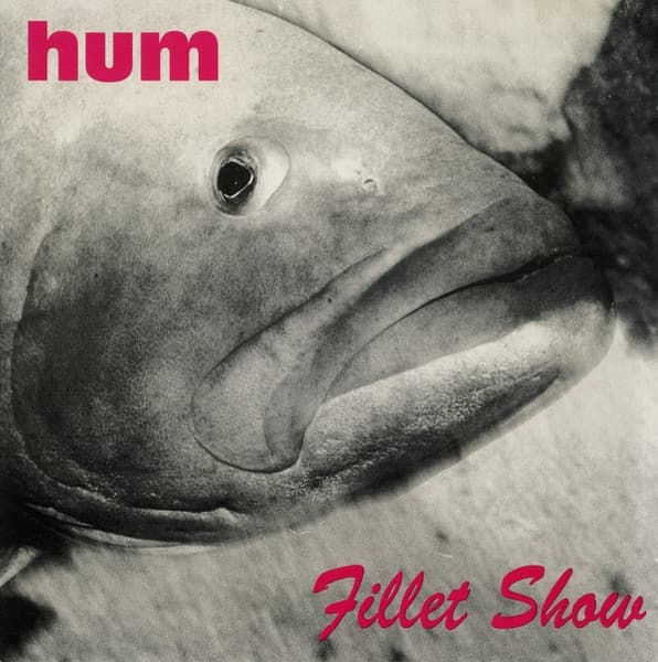 Album cover art for Fillet Show