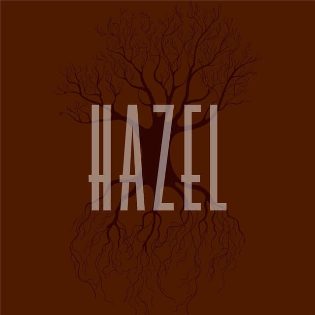 Album cover art for Hazel