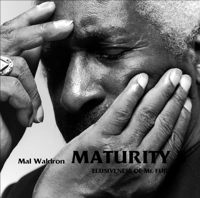 Album cover art for Maturity 5: Elusiveness of Mt. Fuji